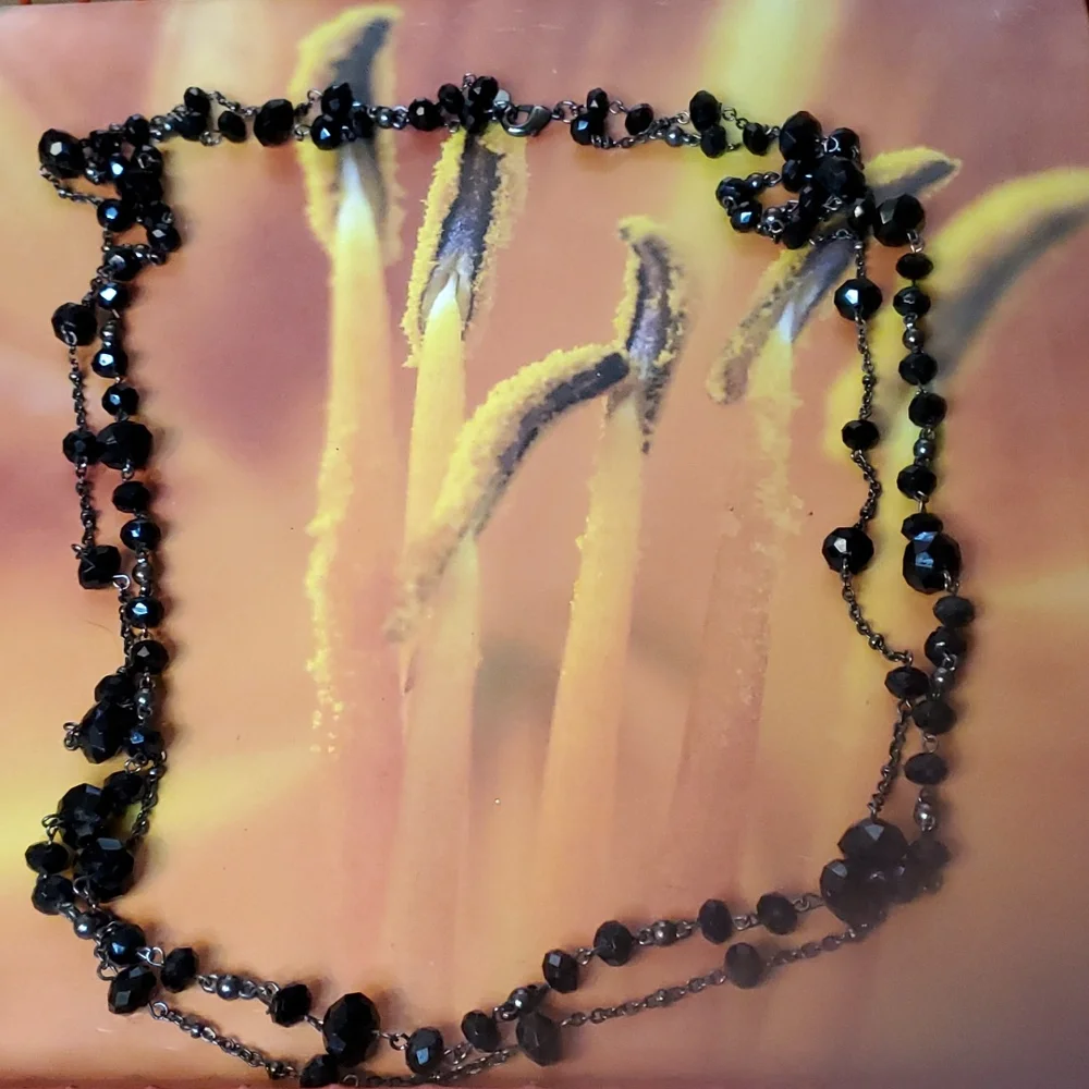 Express Black Necklace
